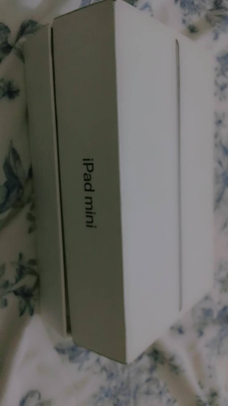 ipad mini 5 1