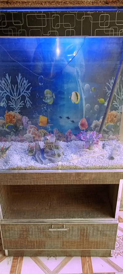 aquarium for sale. . . in good condition