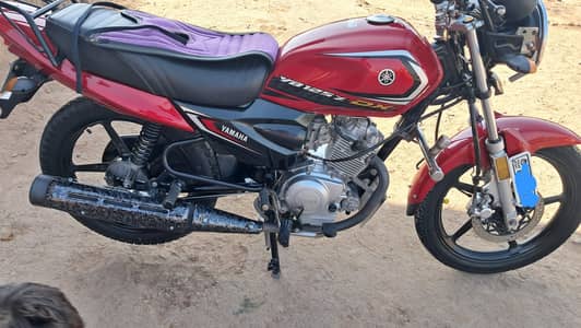 Yamaha Yb125z Dx 2024