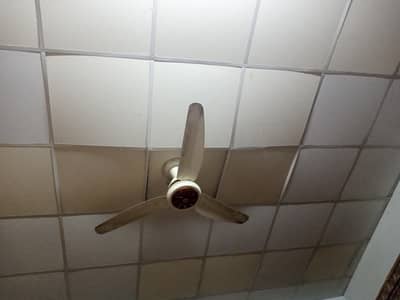 Roof ceiling