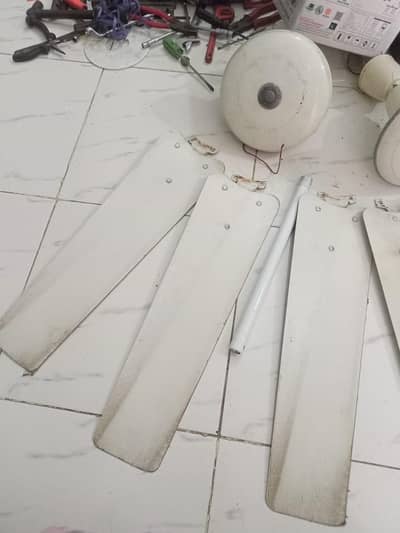 Ceiling Fans (03338250881)