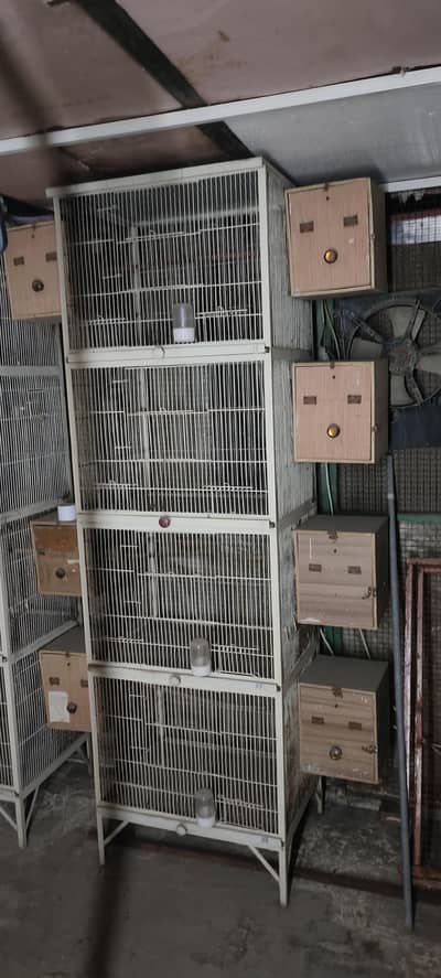 Birds heavy Iron Cages with Box feeding pot and drinking bottles