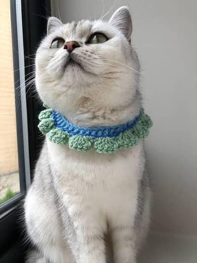 Cat Collar for couple male and female new for neck with bells