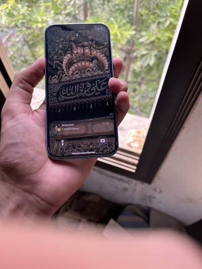 iPhone 12