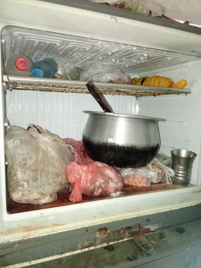 Full sized Dawlance fridge 03218009150