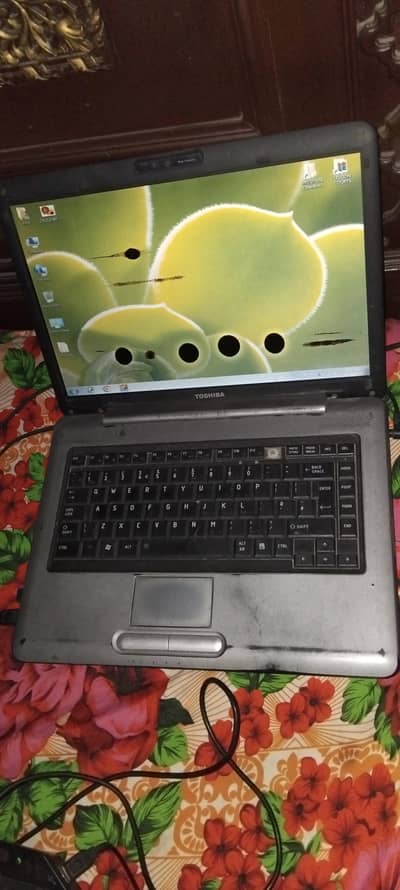 laptop toshiba satellite