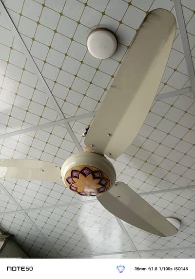 ceiling Fan
