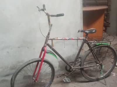 willing cycle