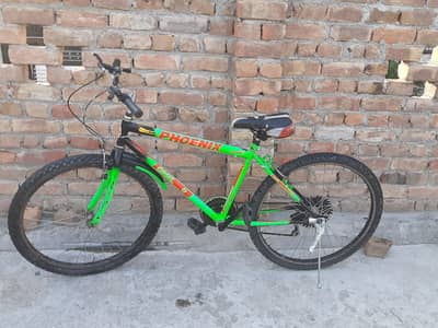Phoenix 21 Gears MTB | New Cassette | Neon Green | RWP | 12,500