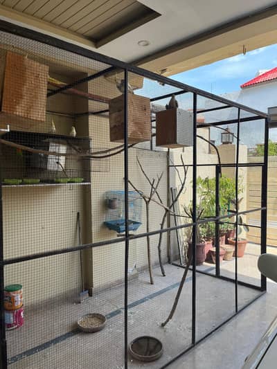 Large Aviary Setup for Sale