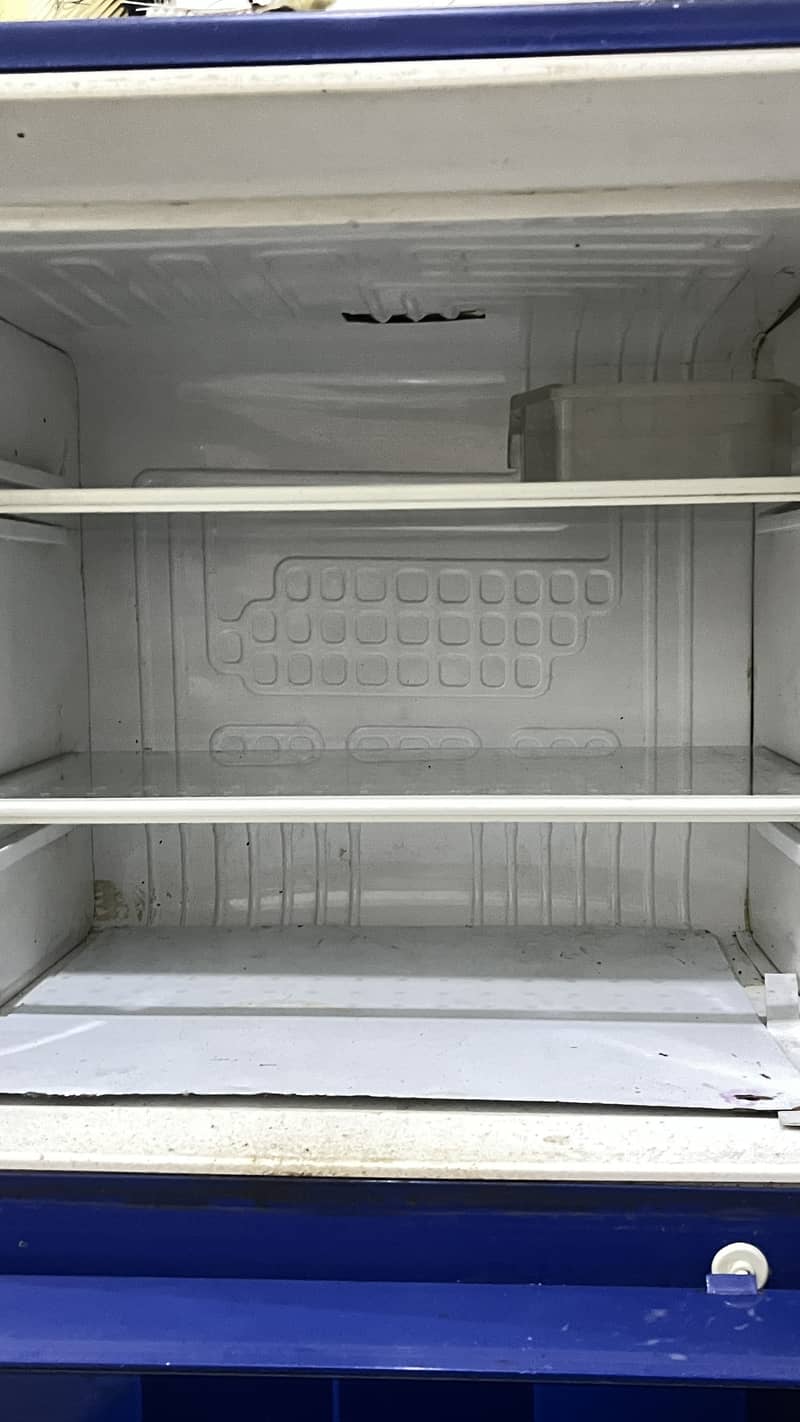 waves fridge 1