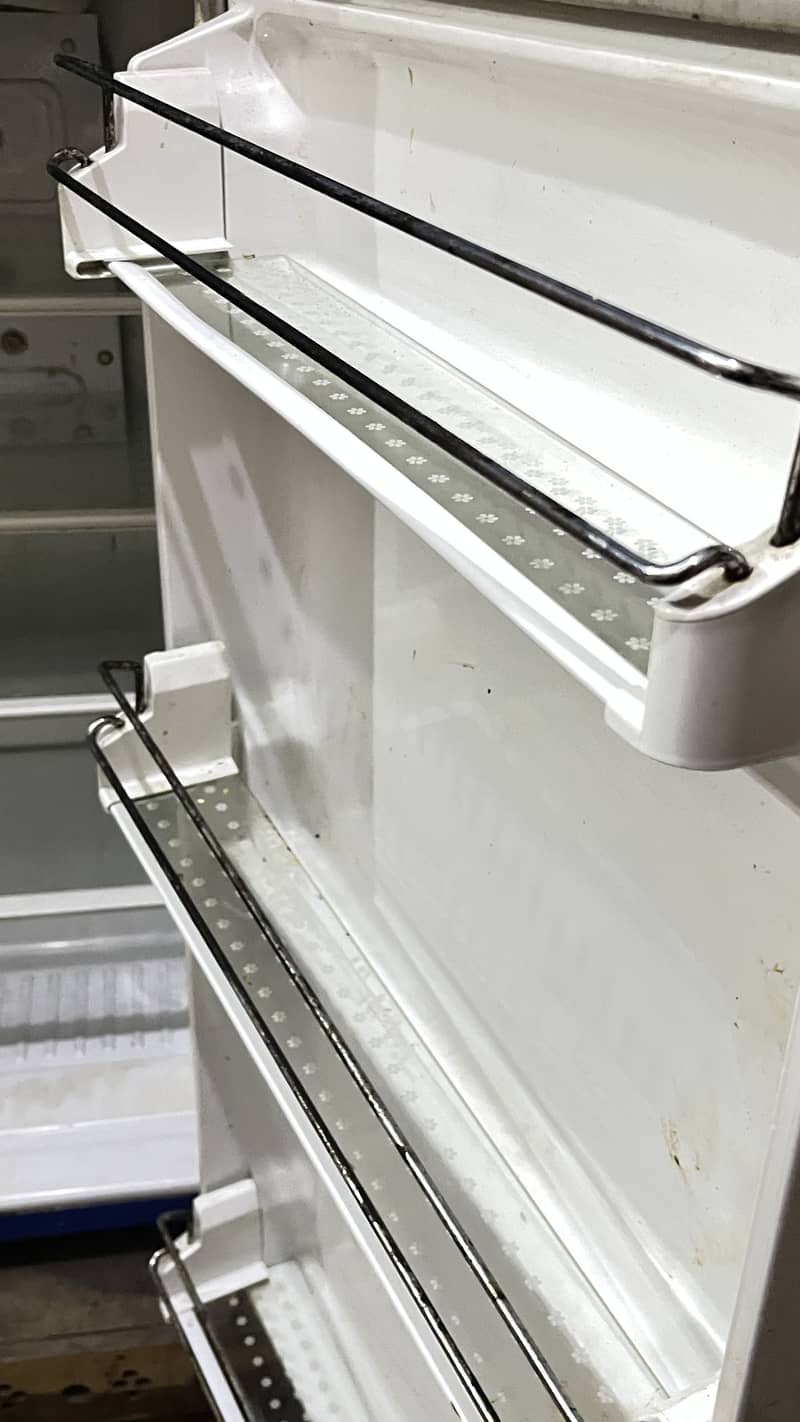 waves fridge 2