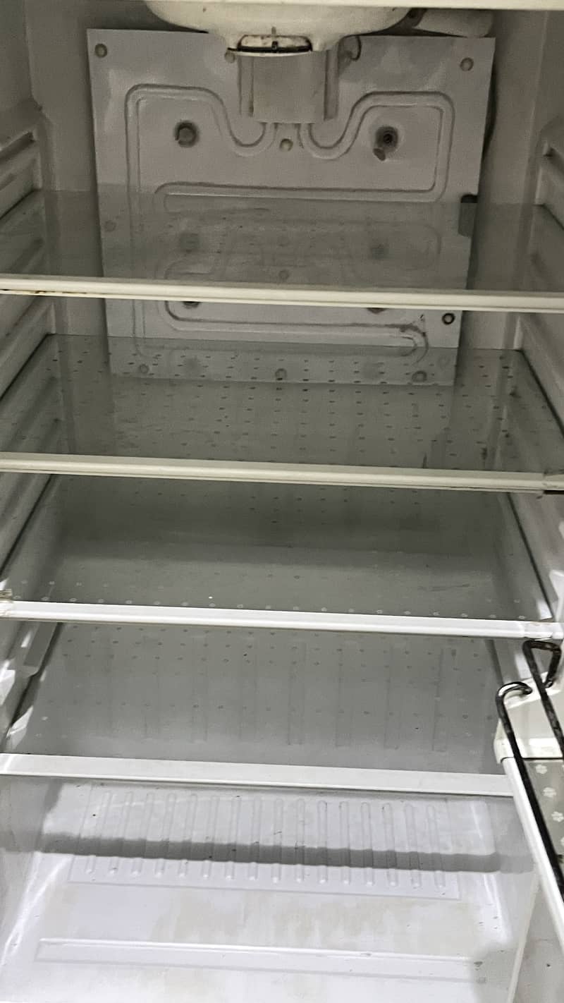 waves fridge 5