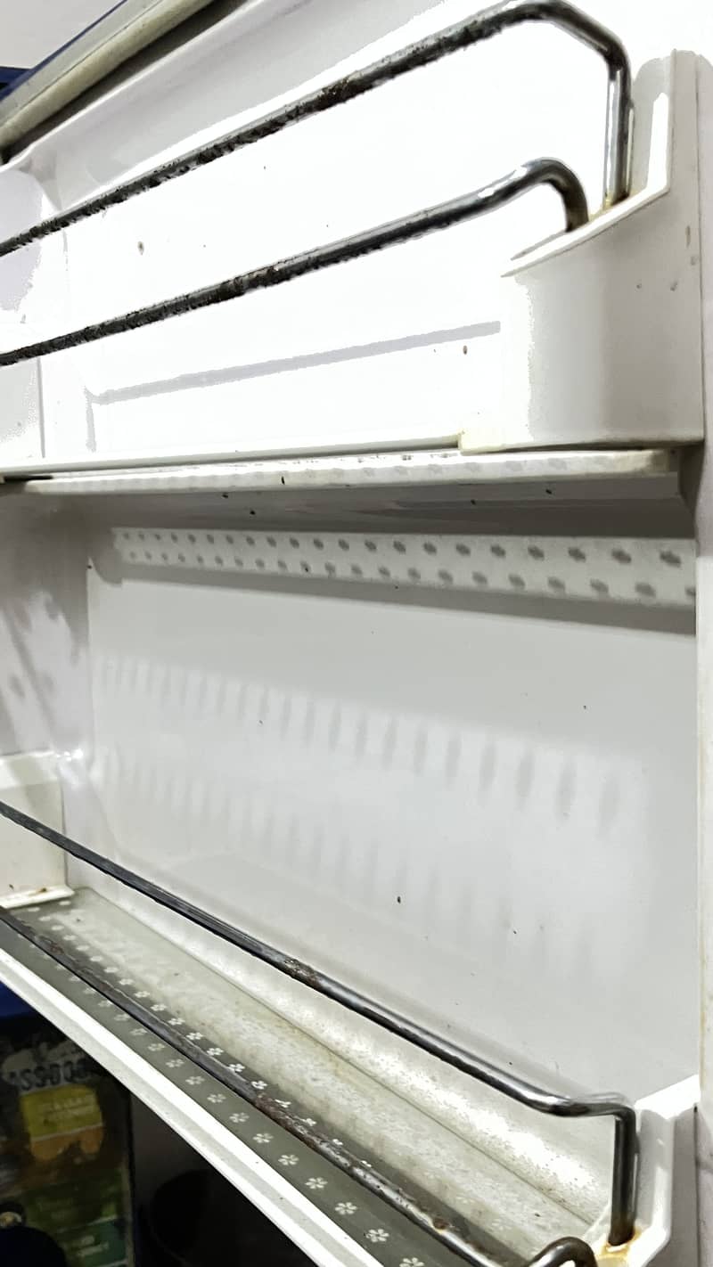 waves fridge 6