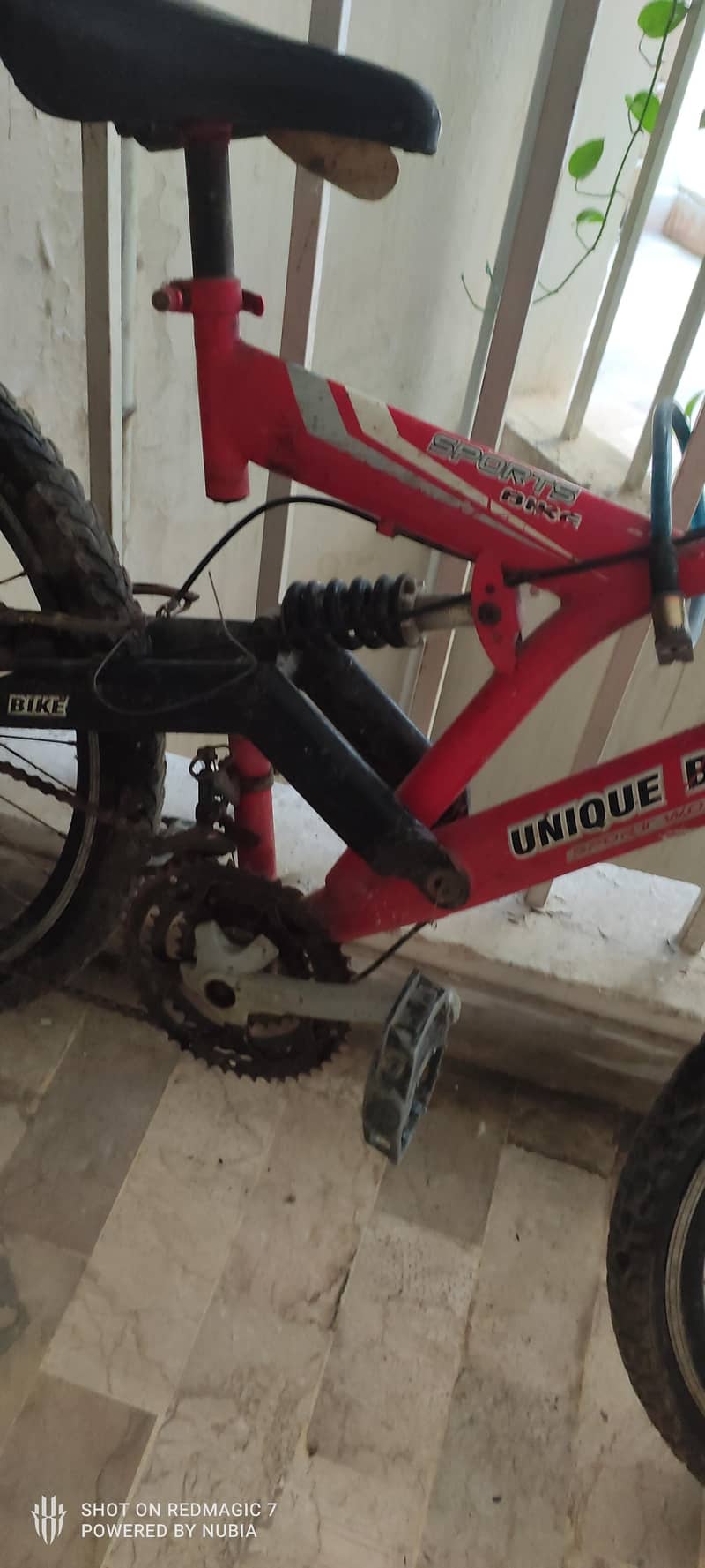 Full Sized MTB 1