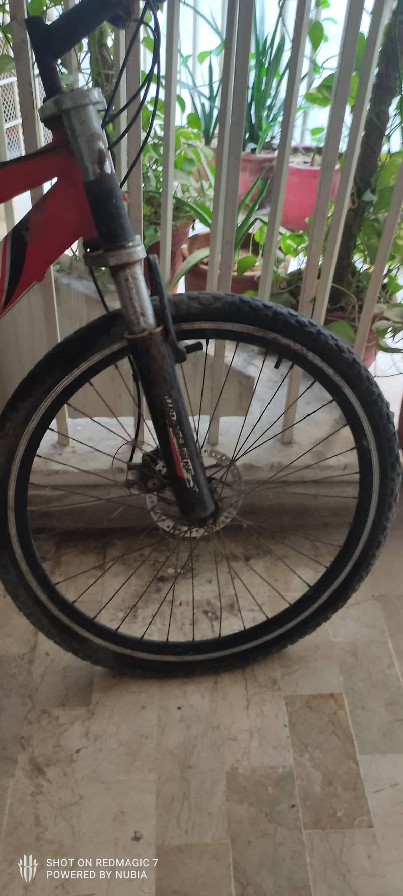 Full Sized MTB 2