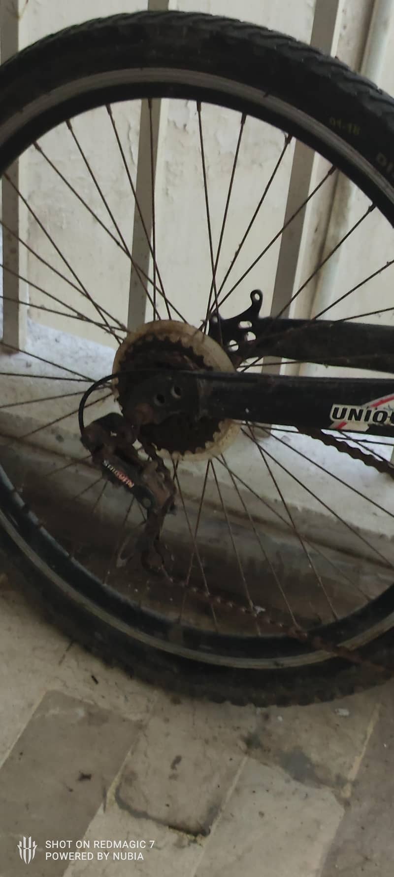 Full Sized MTB 4