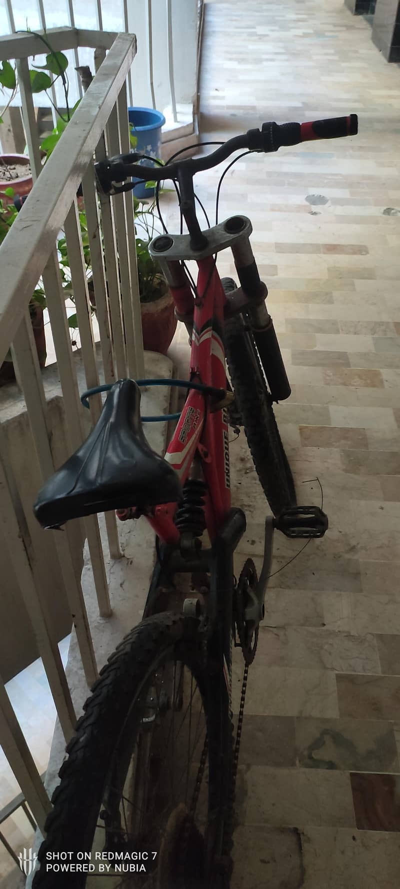 Full Sized MTB 5