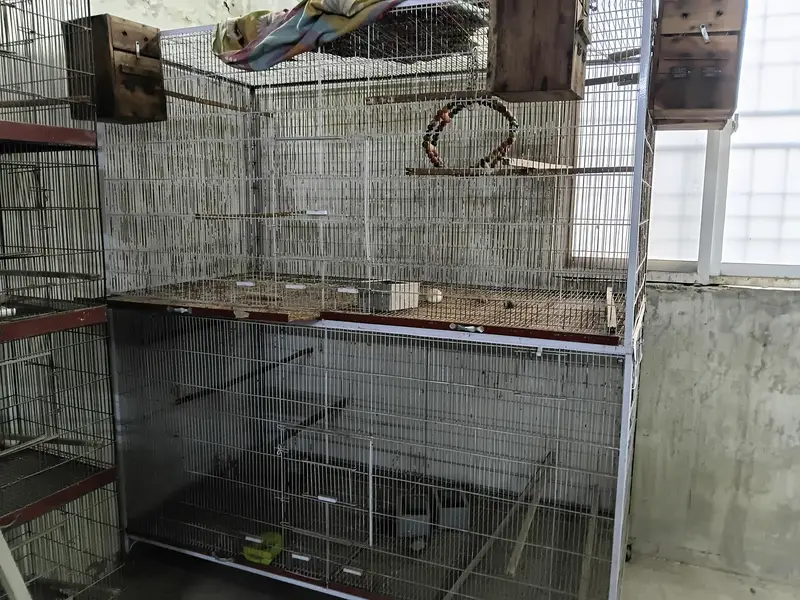 2 portion separate cage for bird in good condition