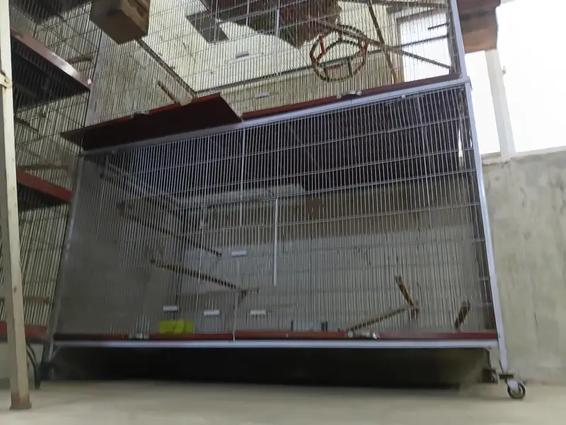 2 portion separate cage for bird in good condition — photo 2