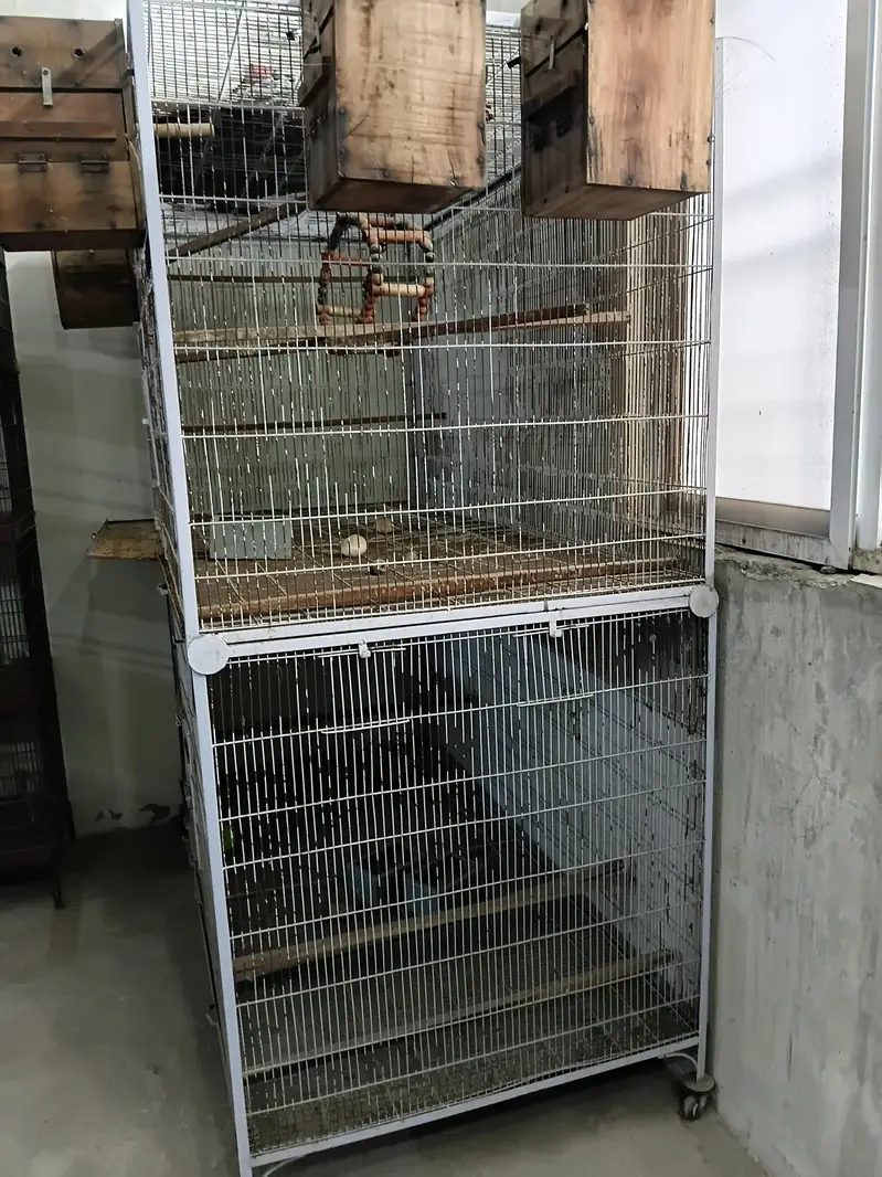 2 portion separate cage for bird in good condition — photo 3