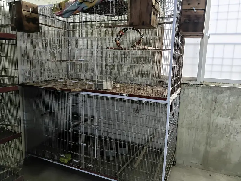 2 portion separate cage for bird in good condition — photo 4