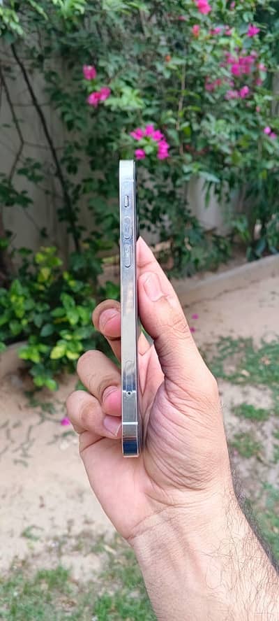 Apple iPhone 12 Pro