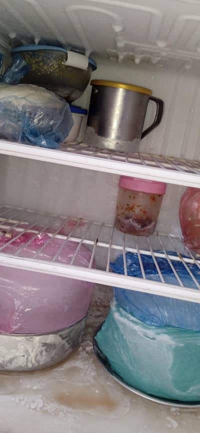 PEL 2 door Refrigerator