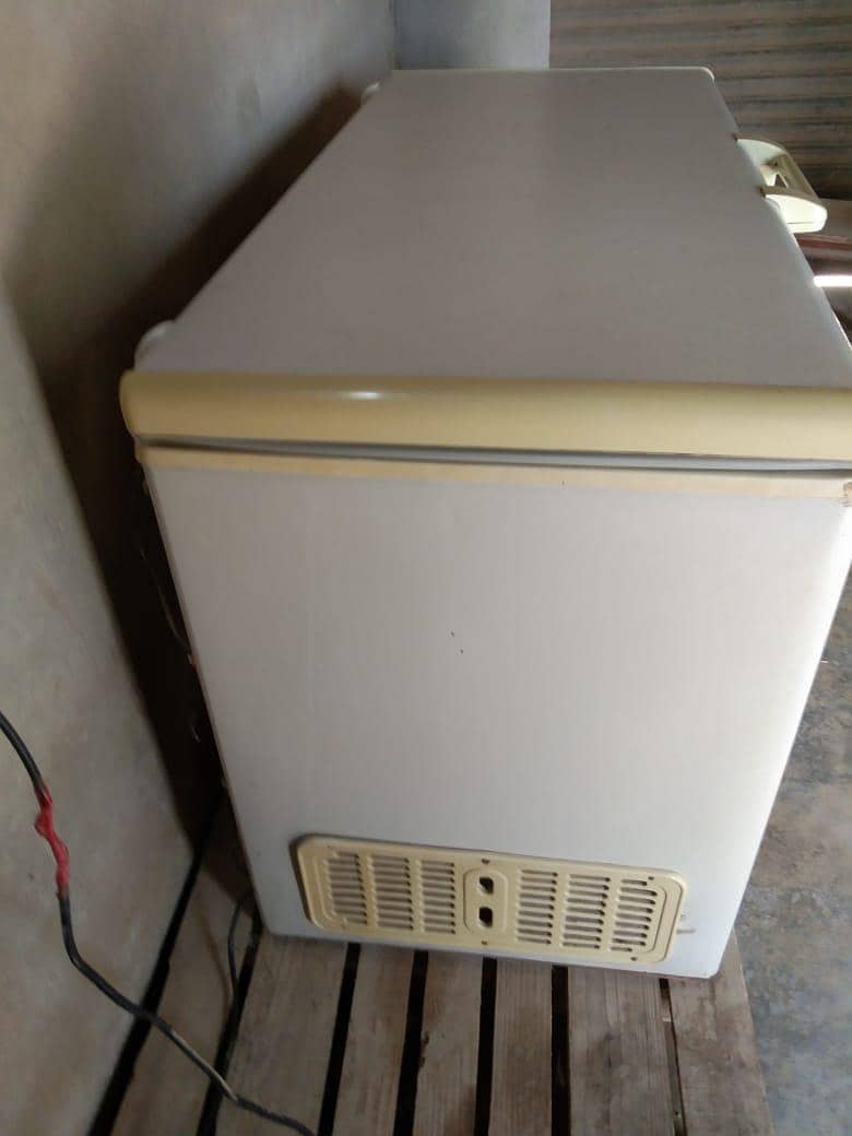 Freezer 3