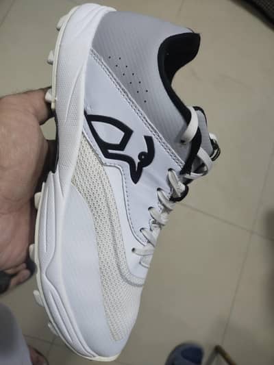 sport shoes 10/10 condition