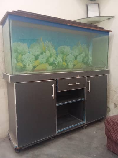 Fish aquarium