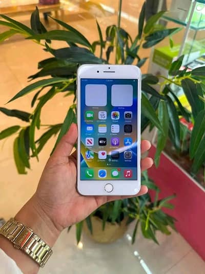 Iphone 8plus pta approved 256gb My Whatsapp number 0309-37-13_656