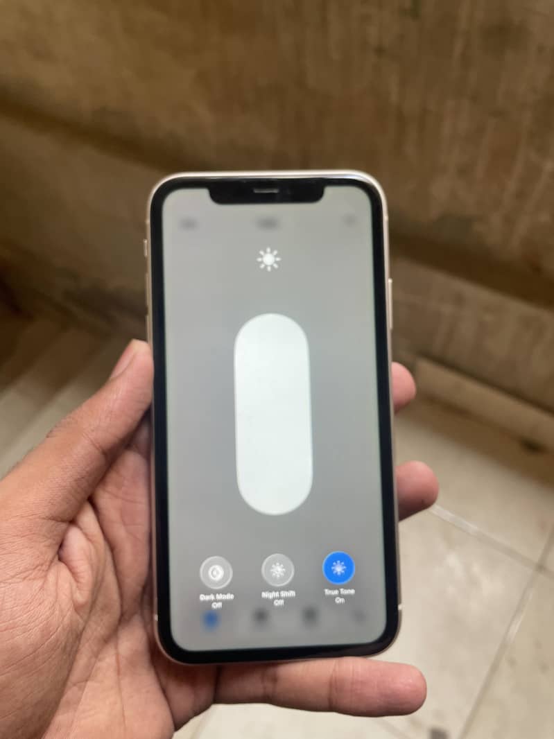 Apple iPhone 11 0
