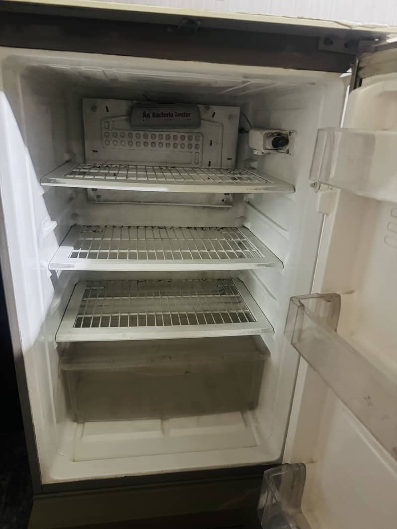 Fridge 1