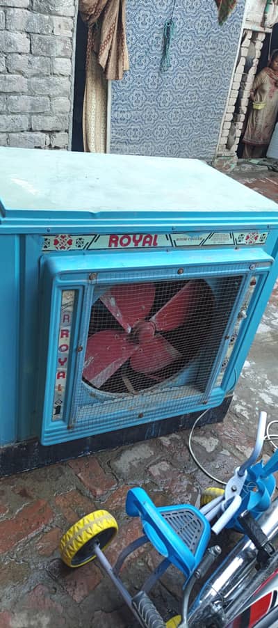 Air cooler