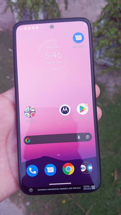 Motorola Moto G31