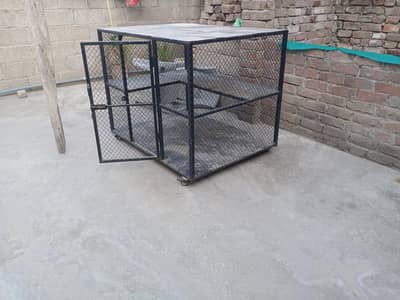 Bird's Cages