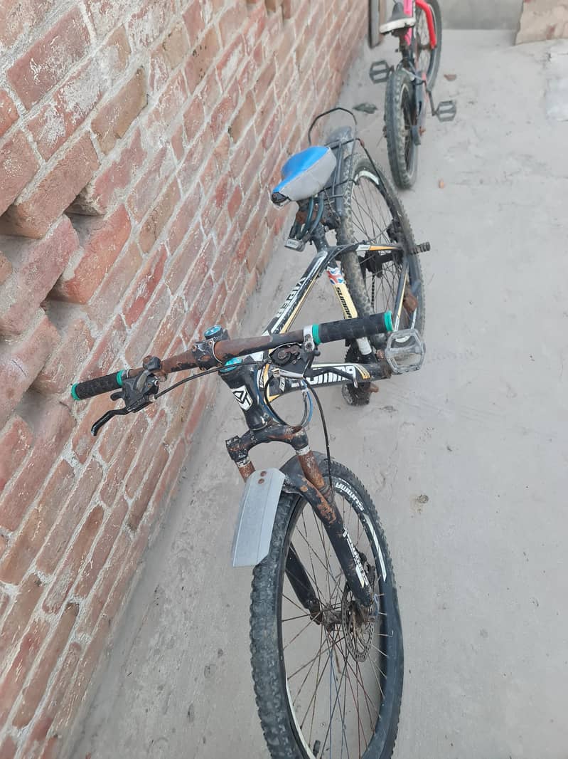 Bicycle 1