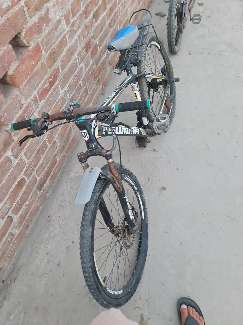 Bicycle 2