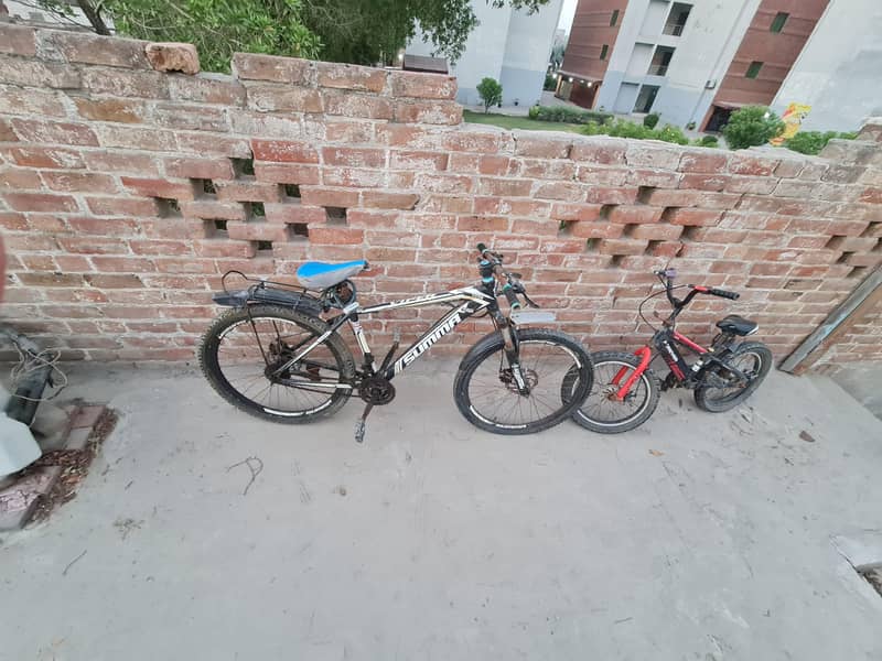 Bicycle 6