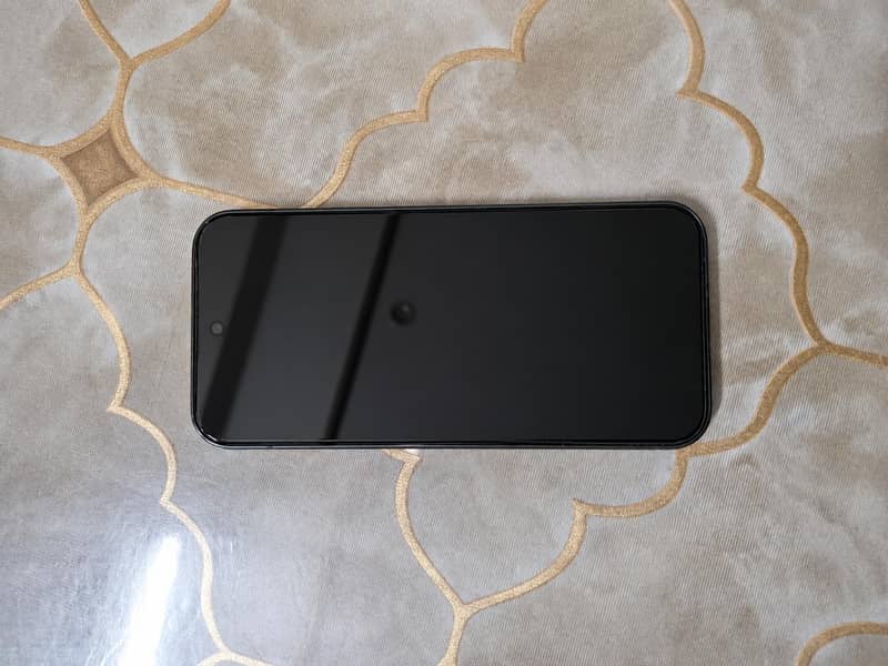 Google Pixel 9 Pro 1