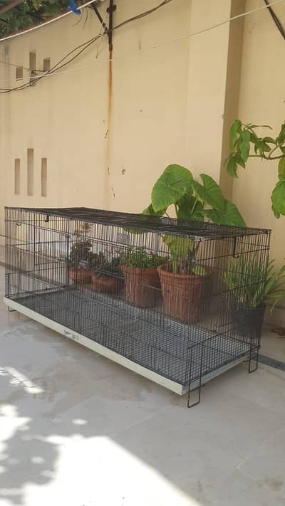 cage 4ft 1/5 by 1/5
