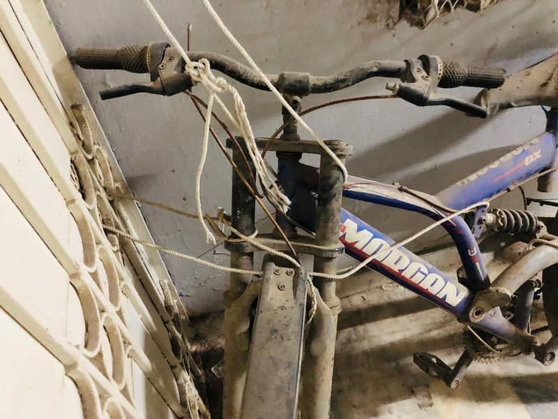 new cycle 0