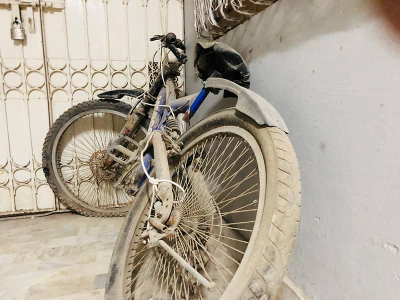 new cycle 4