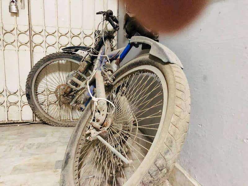 new cycle 5