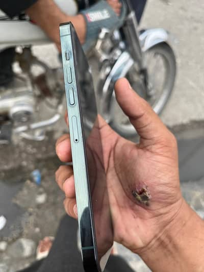 Apple iPhone 13 Pro Max