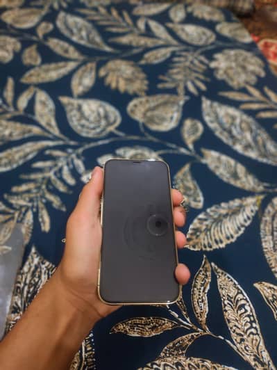 Apple iPhone 12 Pro