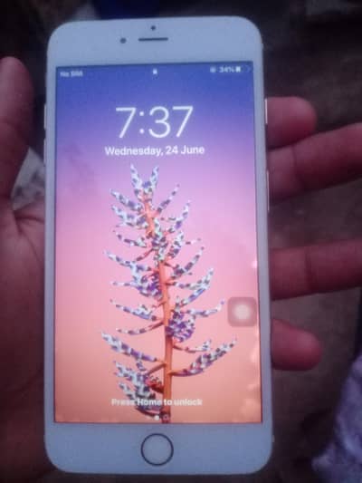 Apple iPhone 6 Plus