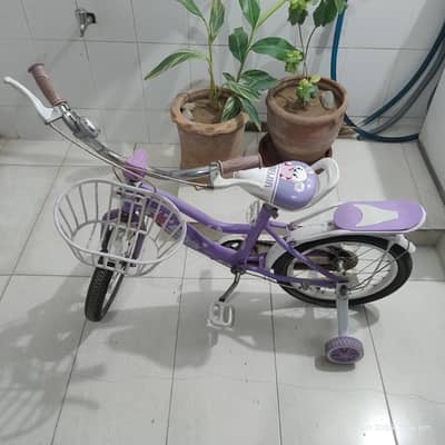 Used Bicycle For Sale - Good Condition.