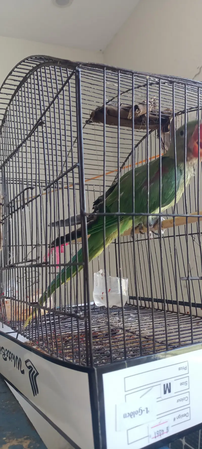 for sell — photo 2